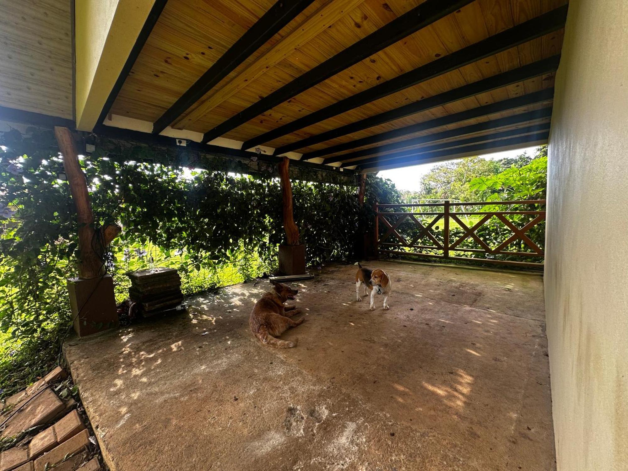Modern Loft Inside A Beautiful Farm Apartment General Viejo Екстериор снимка
